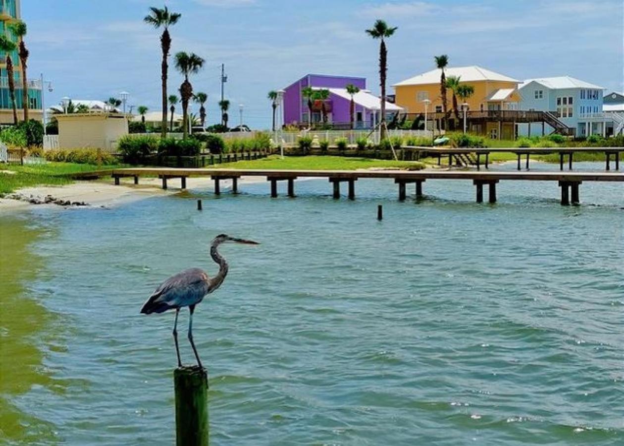 Summer House West B103 Gulf Shores Buitenkant foto